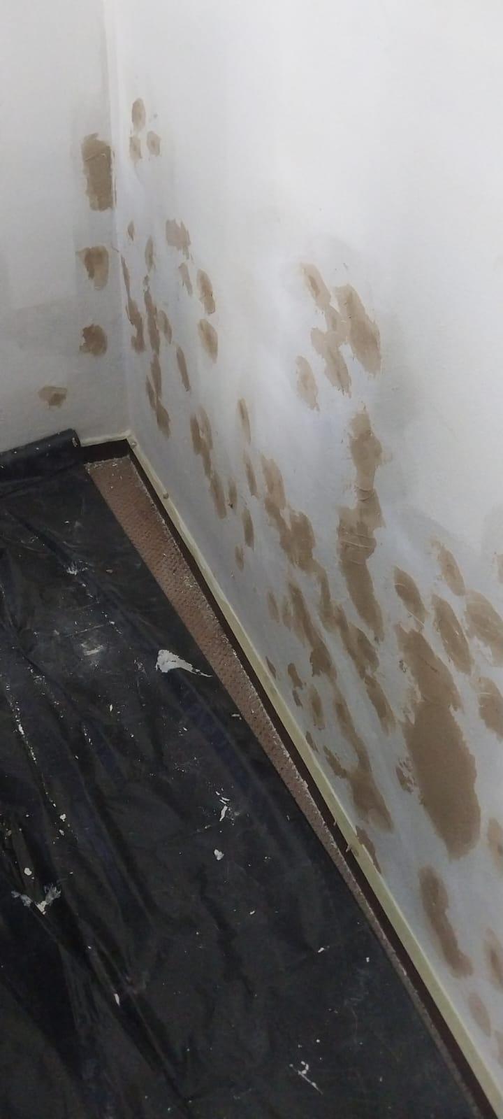 Deep Cleaning